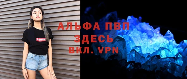 СК Волоколамск