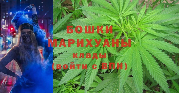 ГАЛЛЮЦИНОГЕННЫЕ ГРИБЫ Верхний Тагил