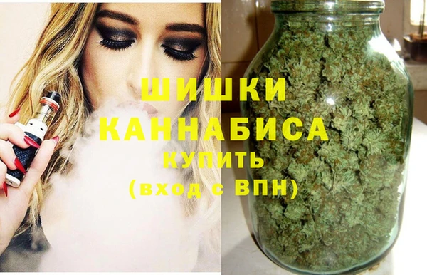 спиды Анива